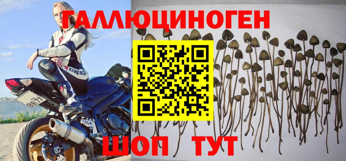 Псилоцибиновые грибы GOLDEN TEACHER Набережные Челны