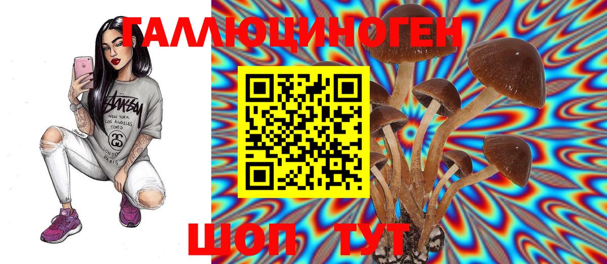 Набережные Челны  Псилоцибиновые грибы Magic Shrooms  Вход с VPN 